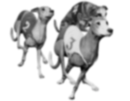 Pozadinska slika za Psi