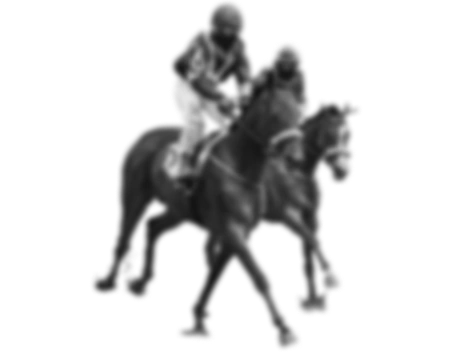 Pozadinska slika za Konji