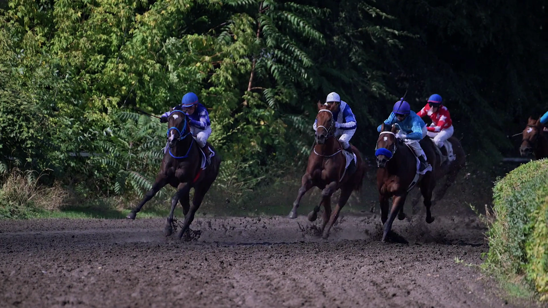 Naslovna slika junaka